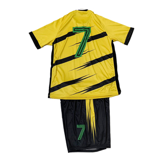 Camiseta de Fútbol para Adultos Fish Plaice Swanage, Manga Corta, Rayas, Absorbe la Humedad, Cuello Redondo, Corte Regular, Ecológica, Transpirable - Product Image 4