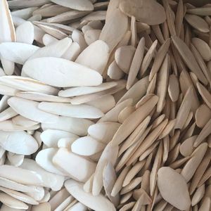 กระดูกปลาหมึกคุณภาพดีที่สุด - กระดูกปลาหมึก/กระดูกปลาหมึกแท้ 100% จากเวียดนาม (WS: 0084987731263) - Product Image 5