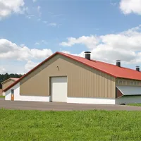 Durable Chicken Farm Buildings Light Steel Structure Warehouse Construction