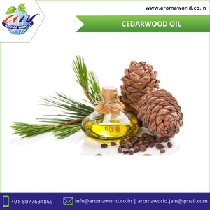 OEM Pure & Natural Cedarwood <b>Essential</b> <b>Oil</b> <b>for</b> Aromatherapy, Skin & Hair Care 100% Steam Distilled <b>Oil</b> Bulk Wholesale Supplier - Product Image 2