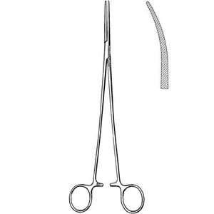 Bengolea fórceps - Product Image 4