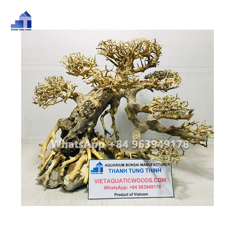 ธรรมชาติ