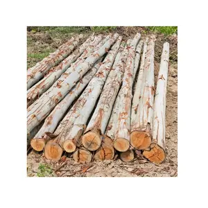 Hete Verkoop-Eucalyptus Hout Logs Tegen Goedkope Prijs En Goede Kwaliteit Van Vietnam