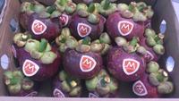 Mangosteen Verse Pack 5Kg/Carton Met Goedkope Prijs