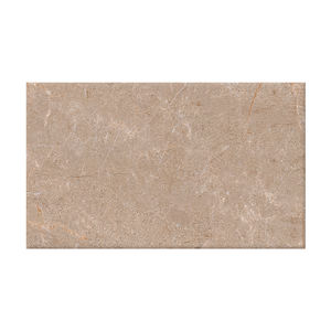 Carreaux muraux numériques en plumes lumineuses personnalisées, 300x600mm, carreaux d'intérieur de salon, haute qualité - Product Image 1