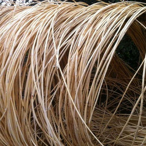 Canne en rotin naturel à prix compétitif - Product Image 1