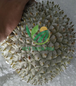 Processus IQF entier de Mongthong de Durian congelé organique emballé en vrac - Product Image 4