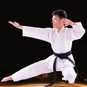 Kyokushin-uniforme de Karate de manga corta, uniforme de verano - Product Image 2