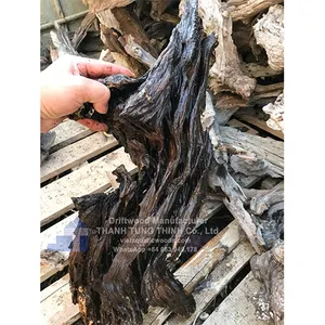 Aquarium Driftwood Natural Driftwood from Vietnam supplier for Fish Tank Landscaping 2023 WhatsApp: +84 961005832