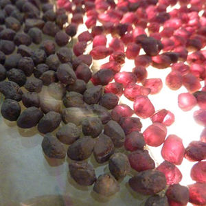 
 
 
 Coszcalt Exports QQR001 Pierre précieuse brute de grenat rose violet indien naturel non taillée pour la fabrication de bijoux et de qualité abrasive, troisième - Product Image 5