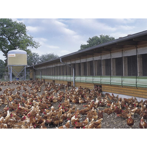 Conception de hangar de structure de ferme avicole de poulet de poulet de poulet de type ouvert économique