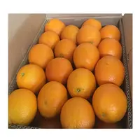 Jeruk Organik Segar-Jeruk Mandarin Kualitas Ekspor