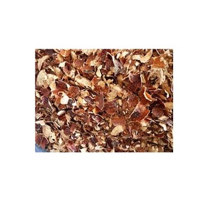 Peau de noix, 5 pièces, échantillon du VIETNAM, offre spéciale - Product Image 3