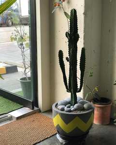 Fournisseur d'usine pot en béton jardinière vase centre commercial couleur bleu clair peinture Hieta jardin fibre plante artificielle jardin - Product Image 4