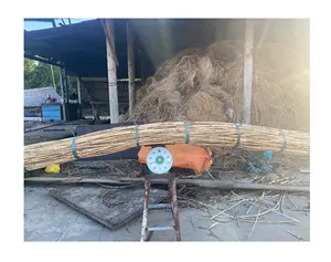Натуральный ротанговый материал для мебели, вьетнамский ротанговый шест, полированный ротанговый трость для изготовления мебели 99GD