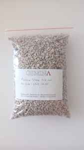 Piedra Pómez Gemina para Agricultura, Horticultura, Construcción, Textiles, Lavado de Mezclilla, Medios Filtrantes, Diversos Grados Disponibles - Product Image 2