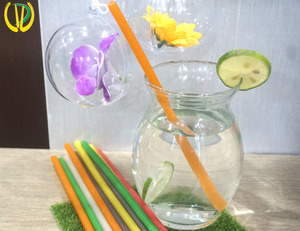 Compostable Rice <b>Straw</b> Factory Offering Sustainable Disposable <b>Drinking</b> <b>Straws</b> <b>for</b> Supermarkets Restaurants and Wholesalers - Product Image 2