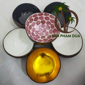 Bol en laque de noix de coco fait à la main coquille de noix de coco naturelle couleur noix de coco vraie Photo pour la décoration de la maison Vietnam - Product Image 6