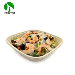 Square 48oz Biodegradable Disposable Take Away Hot Food Container Bowl