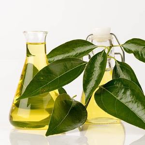 Les fabricants achètent en gros des diffuseurs d'aromathérapie, de l'huile essentielle de camphre biologique, naturelle, 100% pure et de qualité supérieure. - Product Image 3