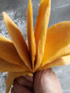 Gói Trader Joes Dried Fruit Soft & Juicy Mango Vietnam 2021 - Product Image 3