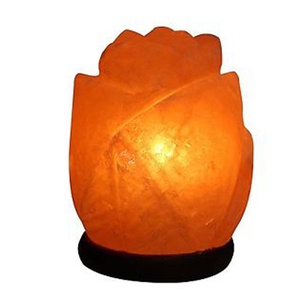 Lámpara de Sal del Himalaya Rosa 100% Pura, Forma Ecológica, Feng Shui, Tallada en Ángel, Decoración del Hogar, Tamaño Personalizable, Logotipo, Sian Enterprises - Product Image 5