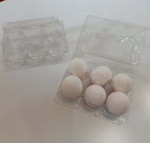 บรรจุภัณฑ์พลาสติกภาชนะใส่ไข่ภาชนะแบบใช้แล้วทิ้งแบบวางซ้อนกันได้บานพับสำหรับ6/12ไข่เกรดอาหารเป็นมิตรกับสิ่งแวดล้อม - Product Image 4