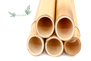 ¡Lo Más Vendido! Varas de Bambú Rectas Eco2go Naturales para Uso en Construcción y Agricultura, Longitud de 2-20 m, Hechas en Vietnam - Product Image 2