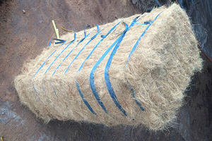 Approvisionnement élevé en fibre de coco premium du Vietnam pour la filature de béton et l'utilisation de tapis - Product Image 6