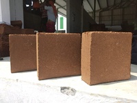 COCOPEAT Blocs de 5 kg, faible EC, hautement purifiés, issue de la coque de noix de coco, 30x30x10/12cm, expansion 75 litres