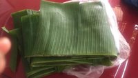Daun Pisang Segar Alami Hijau 50-70cm Dikemas Vakum PENGEMASAN RAMAH LINGKUNGAN /MS.KIO HYUNH +34 375 8904