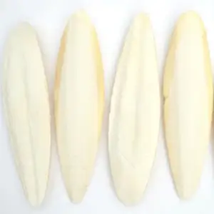 BEST CHOICE VIETNAM CUTTLE FISH BONE / CUTTLEBONE / SQUID BONE /Vivian Ha N +84338820462