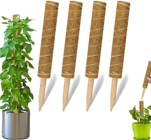 Natural Totem Pole Plant Support Stand Sticks