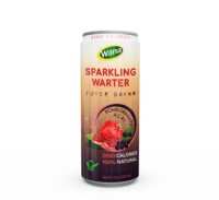 100% Natuurlijk Gesteriliseerd Calorievrij Sprankelend Perzik-Lime Frisdrankje 320ml Geblikte Verzamelde Kleurstof Gezonde Suiker-Vrije Drank Halal