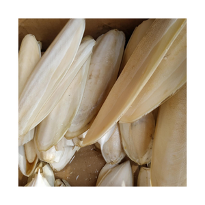 Arêtes de seiche minéral, os pour vos oiseaux et reptiles, riche en minéraux et en Calcium - Product Image 5