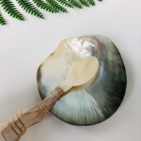Attraktiver Preis Neue Art Shell Plate Tray Runde Obstschale Kaviar Gewürz schale Perlmutt Handmade Eco Friendly