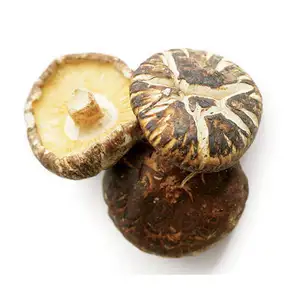 Fungo Shiitake essiccato naturale dal Vietnam 2022 // alta qualità // Ms Jennie ( whatsapp : + 84358485581)