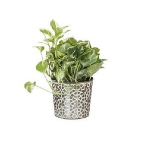 Planoirs d'extérieur en métal sculpté à la main, 12 pièces, décoration au sol, utilisé avec des fleurs et des plantes vertes, en acier inoxydable, Support moderne, pas de Support - Product Image 1