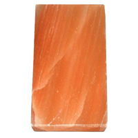 Tuiles et blocs de briques de coquille sculptées les plus vendues Sel naturel de l'Himalaya SPA et décoration de cuisine