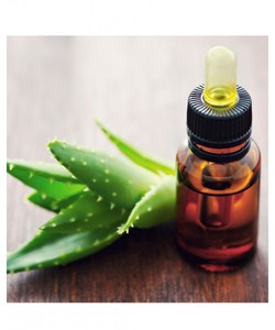 Gel de Aloe Vera con Aceite Portador Prensado en Frío, Certificado GMP, para el Cuidado de la Piel Antienvejecimiento, Hidratante y Reafirmante - Product Image 5