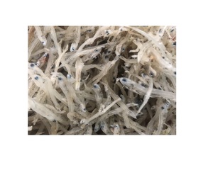 Poisson brochet - Product Image 1