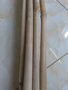 เป็นมิตรกับสิ่งแวดล้อมขนาดแตกต่างกันเสาไม้ไผ่ที่มีราคาถูก/ขายร้อนธรรมชาติ Tonkin เสาไม้ไผ่ /Canes/เดิมพัน99GD - Product Image 6