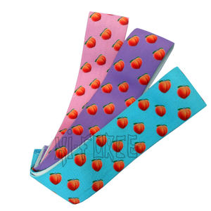 Nouvel ensemble de bandes de résistance pour l'entraînement des fessiers et des jambes - Product Image 4