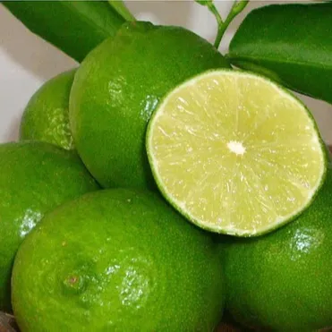 Manfaat dari Air Lemon // Buah Limau Tanpa Biji/LIMON Jeruk/Ms. Chloe - WhatsApp + 84 919 247 730