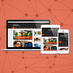 Flowless Bug Free Custom Website Design & <b>Development</b> Company | Award Winning Website <b>Development</b> Services by Webroot Infosoft - Product Image 5