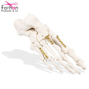 Farhan-KIT de herramientas ortopédicas para endoscopia de columna, instrumento de endoscopia Unilateral bi-portal, productos y Co - Product Image 6