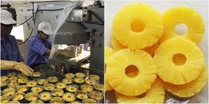 Ananas vietnamien potable naturel Fournisseur d'ananas en conserve au meilleur prix - Product Image 5