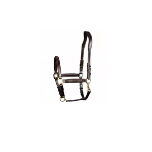 Top Selling Customisable Australian Saddle Nylon <b>Halters</b> Durable Crafted Customisable Hardware Logo Direct Manufacturer Supplier - Product Image 1