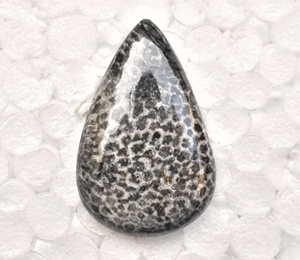 Stingray Coral Cabochon High Quality Black Coral Cabochon Loose Gemstones Stingray Beads Cabochon - Product Image 2