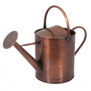 Lata de agua vintage hecha a mano Diseño creativo Suministros de jardín de metal galvanizado Precio bajo Artículo de mayorista - Product Image 6